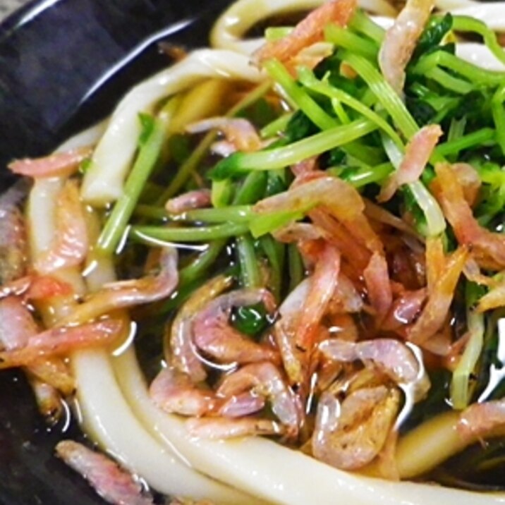 シンプル豆苗桜海老うどん